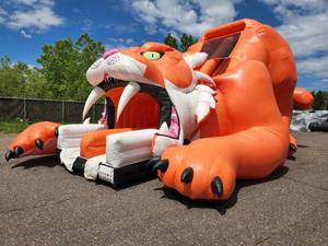 22Ft Sabre Tooth Tiger Slide