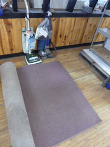 2 Vacuum Cleaners and Area Rug