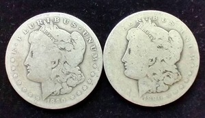 Morgan Dollar 2 Coin Lot