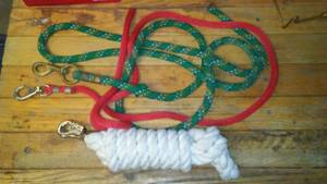 lot 340 image: Lead Ropes (3)