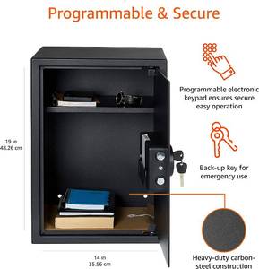 Amazon Basics Steel Home Security Safe with Programmable Keypad
