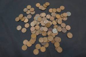 lot 30 image: wheat pennies