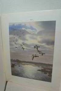 lot 181 image: scott storm print