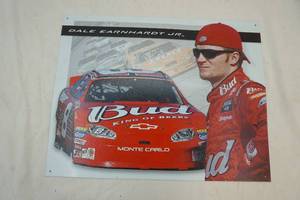 lot 189 image: Dale Earnhardt Jr tin sign