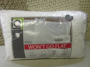 lot 158 image: (EW5) 2 Pillows...