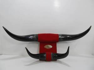 Southwestern Genuine Bull Horn HatCoat Rack Wall Display