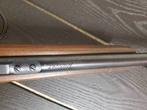 Ranger Arms .22 Rifle