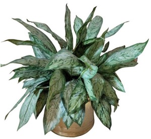 lot 81 image: Vintage Brass Planter with Faux Plant