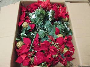 lot 5 image: box of poinsettia mix bushes...