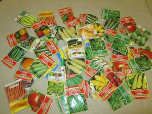 lot 255 image: 50 packets of vegetable seeds...