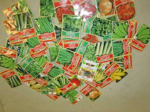 lot 257 image: 50 packets of vegetable seeds...