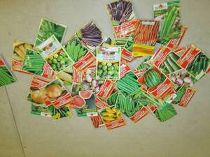 lot 260 image: 50 packets of vegetable seeds...