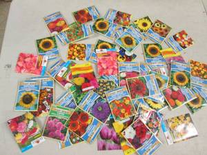 lot 261 image: 50 packages of flower seeds...