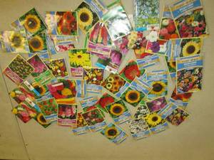lot 263 image: 50 packages of flower seeds...