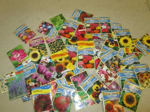 lot 264 image: 50 packages of flower seeds...
