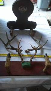 lot 726 image: Deer Mounts  See Pictures