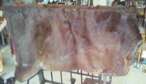 lot 736 image: Authentic Animal Fur Rug