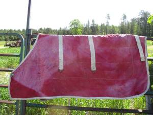 lot 67 image: Horse Blanket.