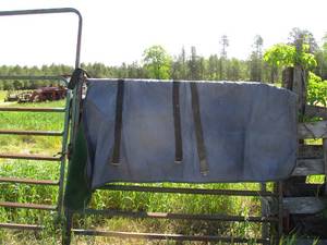 lot 68 image: Horse Blanket