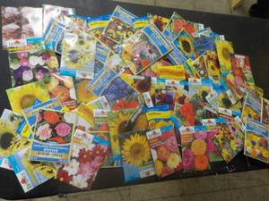 75 Flower Seed Packets...