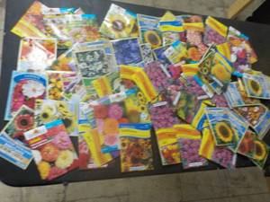 75 Flower Seed Packets...