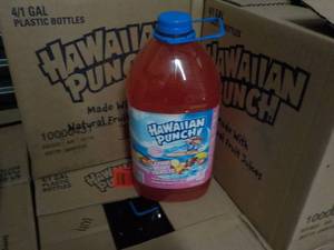 Case of 4 - 64 oz Bottles Hawaiian ...