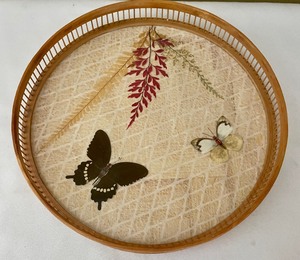 Vintage Butterfly Themed Tray and Matching Coasters