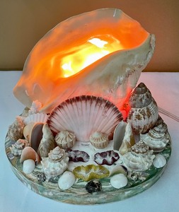 Sensational Seashell Lamp