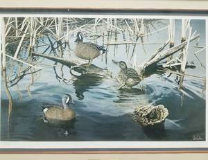 lot 80 image: Spring Song-Blue Winged Teal, Ron Van Gilder Print