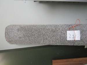 Carpet Remnant