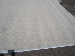 Carpet Remnant