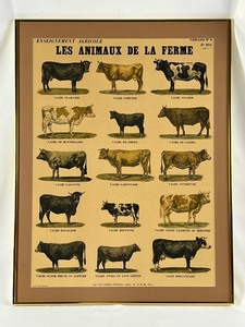 lot 116 image: Pair Framed French Lithographs Les Animaux de la Ferme - Tableaus 45 - E. Kapp, mile Deyrolle, Paris- signed