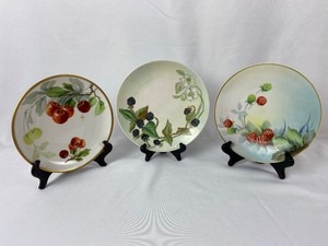 lot 179 image: 6 Hand Painted China Plates - Fruit Motif- JR Bavaria, RC Empire & more