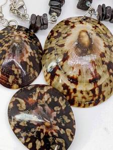lot 129 image: Hawaiian Opihi Shell Set Limpet Shell and Stone Necklace and Earrings