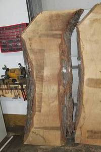 lot 827 image: Soft Maple Live Edge Wood Slab