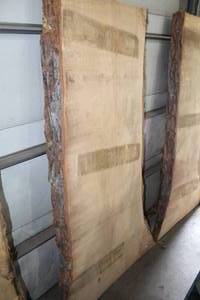 lot 831 image: Soft Maple Live Edge Wood Slab