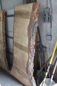 lot 832 image: Soft Maple Live Edge Wood Slab