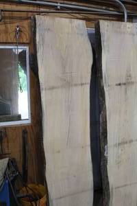 lot 834 image: Hard Maple Live Edge Wood Slab