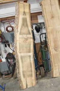 lot 836 image: Elm Live Edge Wood Slab