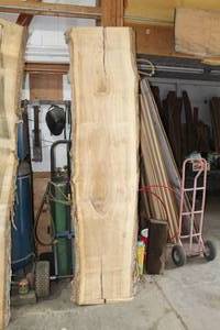 lot 837 image: Elm Live Edge Wood Slab