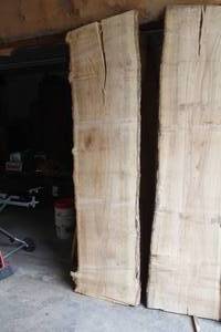 lot 838 image: Elm Live Edge Wood Slab