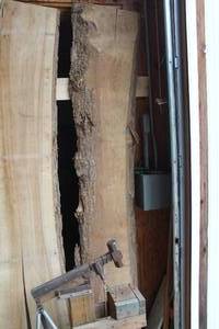 lot 840 image: Elm Live Edge Wood Slab