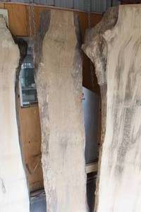 lot 850 image: Maple Live Edge Wood Slab