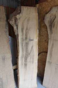 lot 851 image: Maple Live Edge Wood Slab