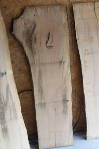 lot 852 image: Maple Live Edge Wood Slab