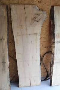 lot 853 image: Maple Live Edge Wood Slab