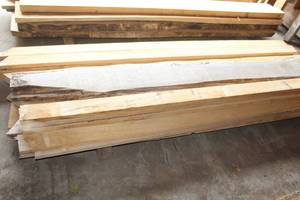 lot 856 image: Lot of (25) White Elm Wood Boards