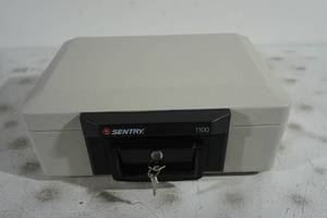 lot 161 image: Sentry 1100 Fire Box