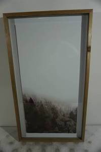 lot 127 image: Wood Framed Hillside Forest Photograph