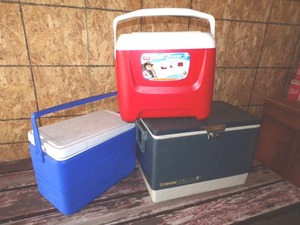 lot 71 image: 3 Coolers